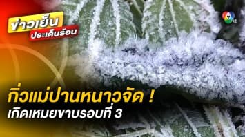 หนาวจัด ! “กิ่วแม่ปาน” เกิดเหมยขาบรอบที่ 3 อุณหภูมิแตะ 3 องศาเซลเซียส