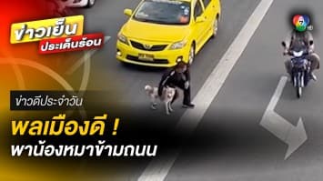 ชื่นชม ! หนุ่มพลเมืองดี ช่วยพาสุนัขข้ามถนน | ข่าวดีประจำวัน