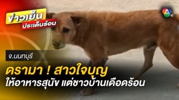 เดือดร้อน ! เหตุสาวใจบุญให้อาหารหมาจรจัด กว่า 50 ตัว สร้างความรำคาญแก่ชาวบ้าน