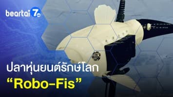 Robo-Fish ปลาหุ่นยนต์รักษ์โลก กินขยะพลาสติก ช่วยแหล่งน้ำ