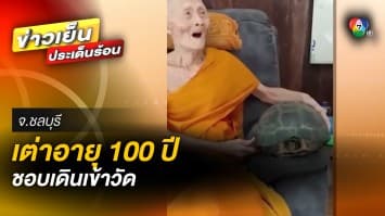 ฮือฮา ! เต่ายักษ์อายุกว่า 100 ปี ชอบเดินเข้าวัด คาดผูกพันธ์กับหลวงปู่ฮก