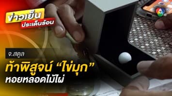 ท้าพิสูจน์ ! เจอไข่มุก ในหอยหลอดไม้ไผ่ คล้ายไข่มุกในหอยมือเสือ เรืองแสงได้