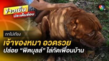 สุดกร่าง ! เจ้าของหมาอวดรวย ปล่อย “พิตบุลล์” ไล่กัดเพื่อนบ้าน | ถกไม่เถียง