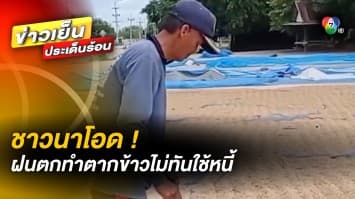ชาวนาโอด ! ฝนตกทำตากข้าวไม่ทันใช้หนี้ ด้าน กรมอุตุฯ เตือนฝนตกหนักมาก 21-24 พ.ย.