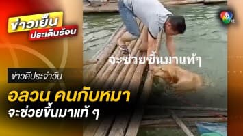 อลวล คนกับหมา ! ช่วยน้องหมาตกน้ำ กลับช่วยน้องหมา ... ตกน้ำ | ข่าวดีประจำวัน