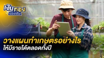 วางแผนทำเกษตรอย่างไร ให้มีรายได้ตลอดทั้งปี | เงินทองของจริง [LIVE]