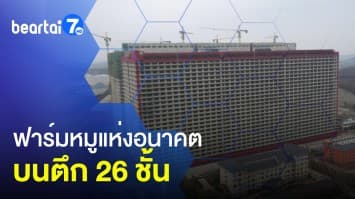 จีนทำ ฟาร์มเลี้ยงหมูแห่งอนาคต ในตึก 26 ชั้น ผลผลิตเกินครึ่งล้านต่อปี
