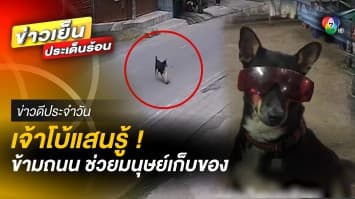 “พี่โบ้” สุนัขแสนรู้ ข้ามถนน ช่วยมนุษย์เก็บของ | ข่าวดีประจำวัน