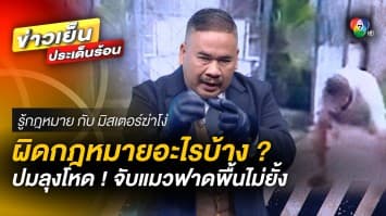 ลุงโหด ! จับแมวฟาดพื้นไม่ยั้ง ผิดกฎหมายอะไรบ้าง | รู้กฎหมาย