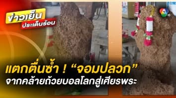 คืบหน้า ! “จอมปลวก” ก่อตัวจากถ้วยบอลโลก เป็น เศียรพระพุทธรูป