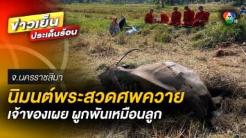 รักเหมือนลูก ! นิมนต์พระสวดพระพุทธมนต์ อุทิศให้ควาย “แม่ทองคูณ” ผูกพัน 28 ปี