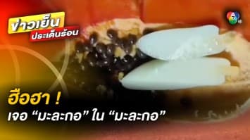 สุดแปลก ! มะละกอจิ๋วโผล่ซ้อนผลสุก โยงเรื่องลี้ลับ หรือวิทยาศาสตร์ ?