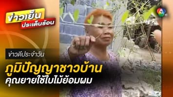 คุณยายโชว์ ภูมิปัญญา ใช้ “ใบกาว” ย้อมผม เป็นสีส้ม | ข่าวดีประจำวัน