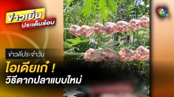 วิถีชาวบ้าน ! ตากปลาแบบใหม่ ประหยัดพื้นที่ แต่ต้องระวังหายแทน | ข่าวดีประจำวัน