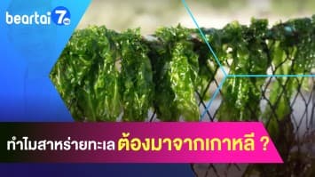 ตอบคำถาม ! ทำไมสาหร่ายทะเลต้องมาจากเกาหลี