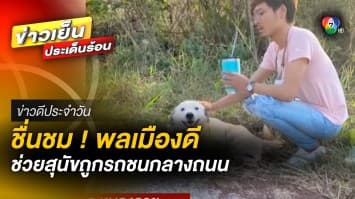 ชื่นชม ! พลเมืองดี ช่วยสุนัขถูกรถชนกลางถนน | ข่าวดีประจำวัน