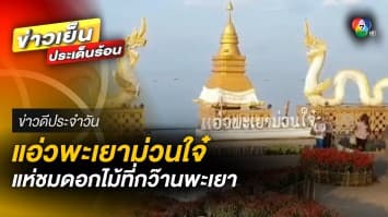 นักท่องเที่ยว แห่รับลมชมดอกไม้สวยที่ “กว๊านพะเยา” | ข่าวดีประจำวัน