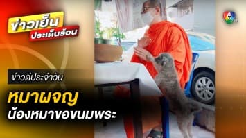 เจ้าตูบสายหิว ! เกาะหลวงพ่อ ขอขนมกินขณะให้พร | ข่าวดีประจำวัน