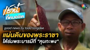 โครงการเส้นทางศรัทธา เดินตามรอยเท้าพ่อ | Good news by Todd Tongdee