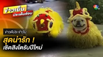 สุดน่ารัก ! น้องหมาตัวน้อย เชิดสิงโตรับปีใหม่ | ข่าวดีประจำวัน