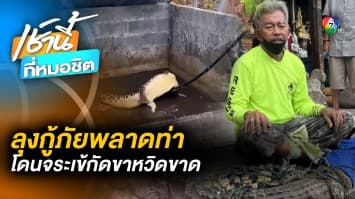 กู้ภัยพลาดท่า ! ถูกจระเข้ใหญ่กระโจนกัดขา หวิดขาขาด หลังแม่เฒ่าแจ้งมาช่วยจับ