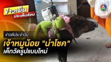 เจ้าหมูน้อย “นำโชค” เด็กวัดสายพันธุ์ใหม่ เดินไกลแค่ไหนก็ไม่บ่น | ข่าวดีประจำวัน