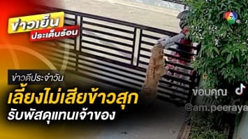 เลี้ยงไม่เสียข้าวสุก ! น้อง “แจ่มใส” ออกมารับพัสดุแทนเจ้าของ | ข่าวดีประจำวัน