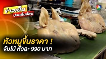 ต้อนรับตรุษจีน ! หัวหมู “จัมโบ้” ปรับขึ้นราคา หัวละ 990 บาท จ.พิษณุโลก