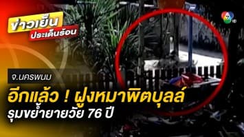 พิตบุลล์ อีกแล้ว ! รุมขย้ำยายวัย 76 ปี แต่ยายยัน ไม่เอาเรื่องเจ้าของสุนัข