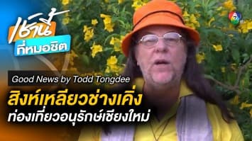 สิงห์เหลียวช่างเคิ่ง แหล่งท่องเที่ยวเชิงอนุรักษ์ จ.เชียงใหม่ | Good News by Todd Tongdee