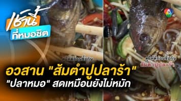 อวสานสายแซบ ! กิน “ส้มตำ” เจอ “ปลาร้า” ตาใสแจ๋ว สดเหมือนยังไม่ได้หมัก