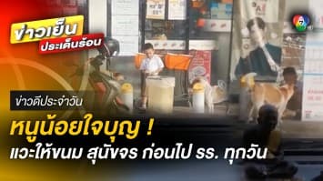 โซเชียลแห่ชื่นชม ! หนูน้อยใจบุญ ซื้อขนมให้สุนัขจร ก่อนไปเรียน | ข่าวดีประจำวัน