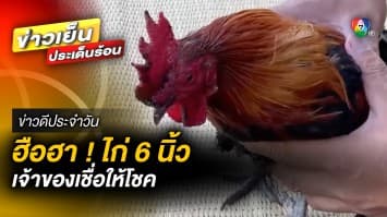 ฮือฮา ! ไก่ 6 นิ้ว เจ้าของเชื่อให้โชค เพราะถูกรางวัลแล้วหลายหมื่นบาท | ข่าวดีประจำวัน