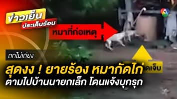 ยายร้อง ! หมากัดไก่ตาย ตามไปเอาซากไก่บ้านนายกเทศมนตรี ถูกแจ้งจับบุกรุก | ถกไม่เถียง