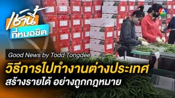 วิธีการไปทำงานต่างประเทศ หาเลี้ยงชีพแบบถูกกฎหมาย | Good News by Todd Tongdee