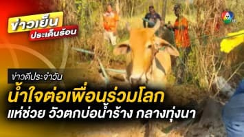 น้ำใจต่อเพื่อนร่วมโลก ชาวบ้านแห่ช่วย วัวตกบ่อน้ำร้าง กลางทุ่งนา | ข่าวดีประจำวัน