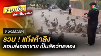 ตำรวจรวบ ! แก๊งค้าลิง ลักลอบส่งออกไปขาย เป็นสัตว์ทดลอง ราคาตัวละ 1 แสนบาท