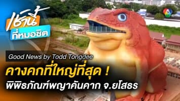 พิพิธภัณฑ์พญาคันคาก จ.ยโสธร | Good News by Todd Tongdee