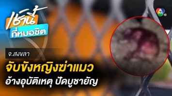 คืบหน้า ! จับขังหญิงฆ่า 2 แมวเปอร์เซียบูชายัญ เจ้าตัวให้การปฏิเสธ จ.สงขลา