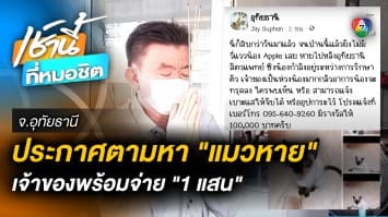 หนุ่มใหญ่โพสต์ตามหาแมวหาย ใครพบจ่ายทันที 1 แสนบาท จ.อุทัยธานี