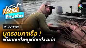 รวบกลางโขง ! แก๊งลักลอบส่งออก “หมูตัวเป็น ๆ” คาเรือ จ.มุกดาหาร