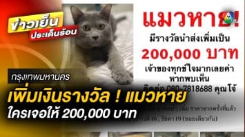 เพิ่มเงินรางวัล ! “แมว” สุดที่รักหาย ใครเจอมีรางวัลนำส่ง 200,000 บาท