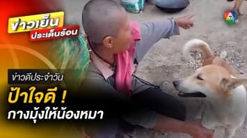 สุดห่วง ! คุณป้าใจดี กางมุ้งให้น้องหมา 5 ชีวิต เหตุโดนยุงรุมกัด | ข่าวดีประจำวัน