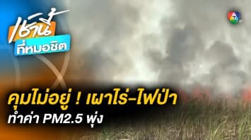 จ่อคุมไม่อยู่ ! ไฟป่า-เผาไร่ ทำค่า PM2.5 พุ่งทะยานหลายจุด ทั่วประเทศ