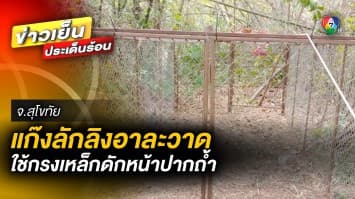 แก๊งลักลิงอาละวาด ! ใช้กรงเหล็กดักหน้าปากถ้ำ คาดลักไปขายให้ชาวต่างชาติ จ.สุโขทัย 