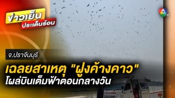 เฉลยแล้ว ! สาเหตุ “ฝูงค้างคาว” โผล่บินว่อนท้องฟ้า หลังโยงเรื่องลี้ลับ