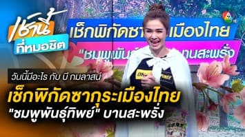 เช็กพิกัดซากุระเมืองไทย “ชมพูพันธุ์ทิพย์” บานสะพรั่ง | วันนี้มีอะไร กับ บี กมลาสน์