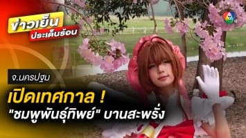 เปิดตัว ! งานเทศกาล “ชมพูพันธุ์ทิพย์” บานสะพรั่ง ตั้งแต่วันที่ 10-16 มี.ค.66