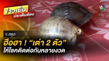 เจ้าของปลื้ม ! “เต่า 2 ตัว” ให้โชคติดกันหลายงวด เชื่อ เป็นพ่อแม่กลับชาติมาเกิด