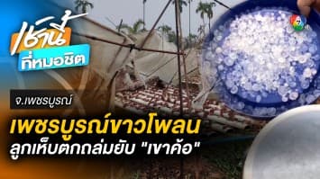 ขาวโพลน ! ลูกเห็บถล่มเขาค้อ 2 วันซ้อน แปลงผักพังเสียหาย จ.เพชรบูรณ์